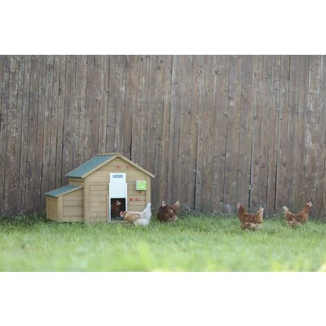 Porte Automatique Pour Poules, Kit Complet Comprenant Une Porte Coulissante 30 X 40cm Kerbl 2 Porte Automatique Pour Poules, Kit Complet Comprenant Une Porte Coulissante 30 X 40cm Kerbl – Image 2