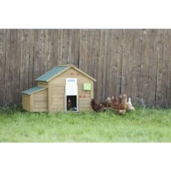 Porte Automatique Pour Poules, Kit Complet Comprenant Une Porte Coulissante 30 X 40cm Kerbl 6 Porte Automatique Pour Poules, Kit Complet Comprenant Une Porte Coulissante 30 X 40cm Kerbl -Trixie || Flamingo Soldes Magasin 53350668 3