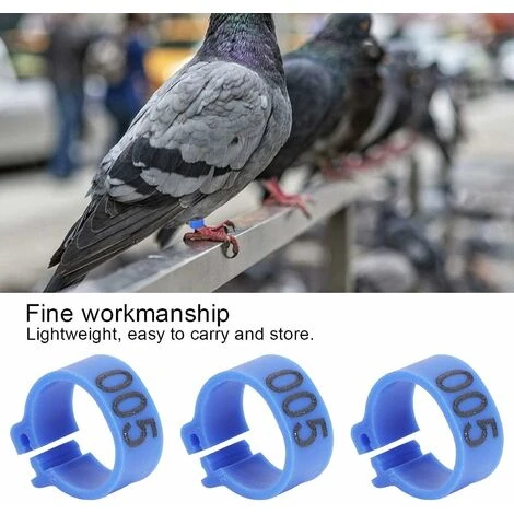 Triomphe 100 Pièces Bague Pied D'oiseau 8mm 001-100 Pigeons Numérotés Identifient Le Clip D'approvisionnement En Volaille Anneau De Pigeon Anneau De Jambe De Volaille Pour Pigeons (Bleu) 2 Triomphe 100 Pièces Bague Pied D'oiseau 8mm 001-100 Pigeons Numérotés Identifient Le Clip D'approvisionnement En Volaille Anneau De Pigeon Anneau De Jambe De Volaille Pour Pigeons (Bleu) – Image 2