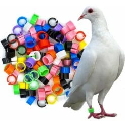 Couleurs Mélangées Bague Pour Pied D’oiseaux Bague Plastique Pour Pigeon Poussin Bantam Petit Volaille 100 Pcs LO-Ron