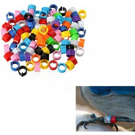 Couleurs Mélangées Bague Pour Pied D’oiseaux Bague Plastique Pour Pigeon Poussin Bantam Petit Volaille 100 Pcs LO-Ron 4 Couleurs Mélangées Bague Pour Pied D’oiseaux Bague Plastique Pour Pigeon Poussin Bantam Petit Volaille 100 Pcs LO-Ron – Image 4
