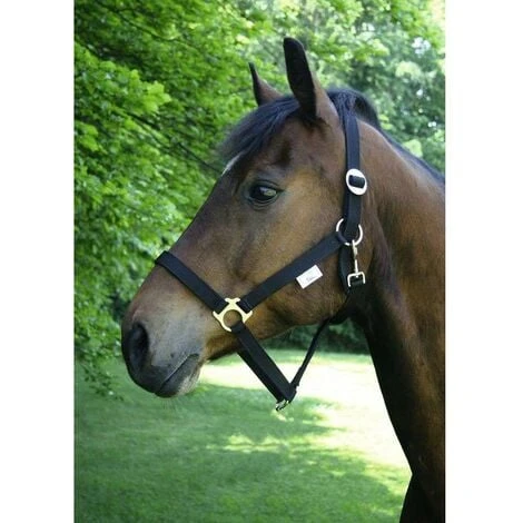 KERBL Licol écurie équitation Randonné PONY Design Classic Robuste Bouclerie Inox Têtière Réglable Cheval Poney 3 KERBL Licol écurie équitation Randonné PONY Design Classic Robuste Bouclerie Inox Têtière Réglable Cheval Poney – Image 3