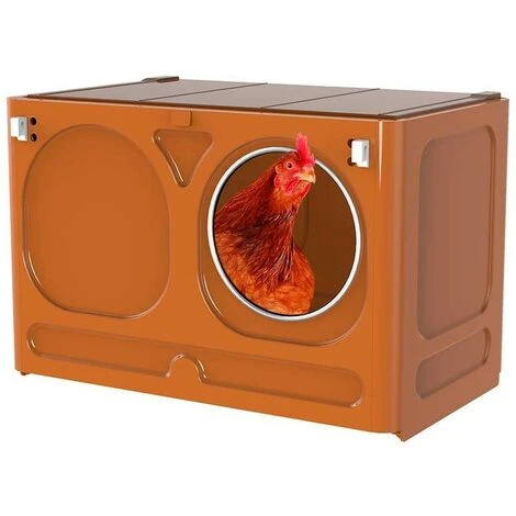 Nid Pour Poulet 1 Nid Pour Poulet