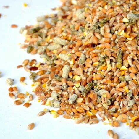 Mélange De Céréales Bio, Poules Pondeuses - Sac 10 Kg 3 Mélange De Céréales Bio, Poules Pondeuses - Sac 10 Kg – Image 3