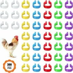 300 Anneaux De Pied De Volaille, Petits Anneaux De Serrage De Volaille, Bandes De Volaille Pour Marquer Les Oiseaux, Perroquets, Pigeons, Cailles, Poussins (Jaune/bleu/blanc/violet/rouge/vert)，Fonepro