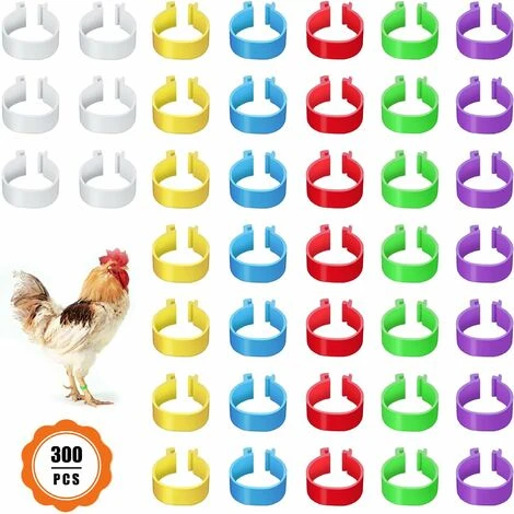 300 Anneaux De Pied De Volaille, Petits Anneaux De Serrage De Volaille, Bandes De Volaille Pour Marquer Les Oiseaux, Perroquets, Pigeons, Cailles, Poussins (Jaune/bleu/blanc/violet/rouge/vert),Fonepro 1 300 Anneaux De Pied De Volaille, Petits Anneaux De Serrage De Volaille, Bandes De Volaille Pour Marquer Les Oiseaux, Perroquets, Pigeons, Cailles, Poussins (Jaune/bleu/blanc/violet/rouge/vert),Fonepro