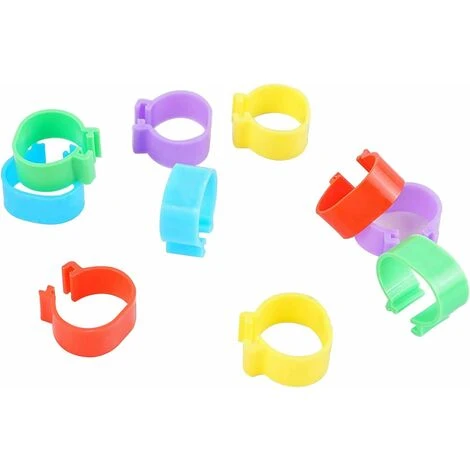 300 Anneaux De Pied De Volaille, Petits Anneaux De Serrage De Volaille, Bandes De Volaille Pour Marquer Les Oiseaux, Perroquets, Pigeons, Cailles, Poussins (Jaune/bleu/blanc/violet/rouge/vert),Fonepro 3 300 Anneaux De Pied De Volaille, Petits Anneaux De Serrage De Volaille, Bandes De Volaille Pour Marquer Les Oiseaux, Perroquets, Pigeons, Cailles, Poussins (Jaune/bleu/blanc/violet/rouge/vert),Fonepro – Image 3