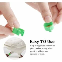 300 Anneaux De Pied De Volaille, Petits Anneaux De Serrage De Volaille, Bandes De Volaille Pour Marquer Les Oiseaux, Perroquets, Pigeons, Cailles, Poussins (Jaune/bleu/blanc/violet/rouge/vert),Fonepro 8 300 Anneaux De Pied De Volaille, Petits Anneaux De Serrage De Volaille, Bandes De Volaille Pour Marquer Les Oiseaux, Perroquets, Pigeons, Cailles, Poussins (Jaune/bleu/blanc/violet/rouge/vert),Fonepro -Trixie || Flamingo Soldes Magasin 62012072 4