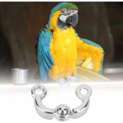 5 Pcs Perroquet Jambe Anneau Perroquet Pied Chaîne En Métal Pet Oiseau Activité Ouverture Formation Pied Anneau Accessoires Perroquets Cage Fourniture -Trixie || Flamingo Soldes Magasin 63690781 3