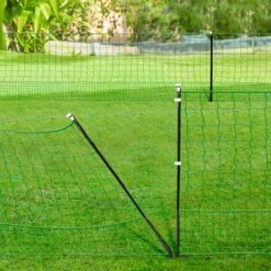 Kit Clôture électrifiable Filet à Poules 24 M Avec Porte 9 Piquets Double Pointe 7 Kit Clôture électrifiable Filet à Poules 24 M Avec Porte 9 Piquets Double Pointe -Trixie || Flamingo Soldes Magasin 65389230 3