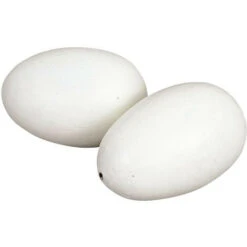 Lot De 2 Œuf Factice En Argile ø 4 Cm Pour Poule, Couleur Blanc - Animallparadise