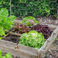 Grillage Pour Poules 1x25M Maille 25mm Triple Torsion Clôture Souple Jardin Animaux 8 Grillage Pour Poules 1x25M Maille 25mm Triple Torsion Clôture Souple Jardin Animaux -Trixie || Flamingo Soldes Magasin 66095649 4