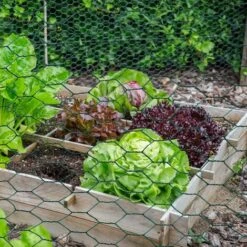 Grillage Pour Poules Vert 1x25M Maille 13mm Triple Torsion Clôture Souple Jardin Animaux -Trixie || Flamingo Soldes Magasin 66095675 4