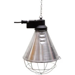 Lampe Chauffante - Infrarouge - 175 W - Universel