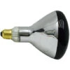 Ampoule Chauffante - Infrarouge - 250 W - Universel