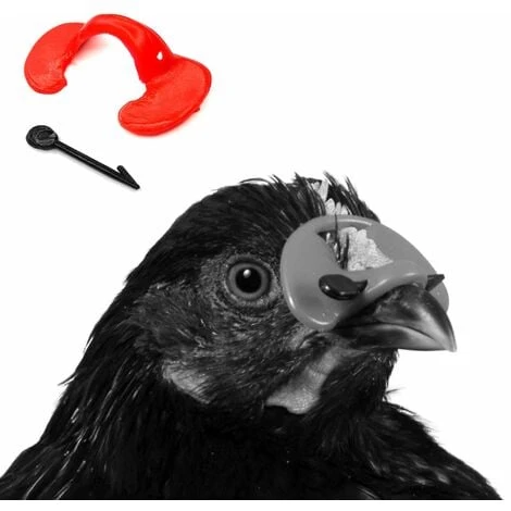 20x Lunette Anti-picage Volaille Avec Aiguille De Fixation Poules Petits Oiseaux Jeunes Faisans 2 20x Lunette Anti-picage Volaille Avec Aiguille De Fixation Poules Petits Oiseaux Jeunes Faisans – Image 2