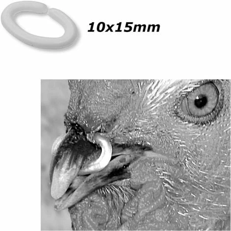 50x Anneau Anti-picage Petite Taille 10x15mm Jeune Volaille Poule Coq Faisan Perdrix 2 50x Anneau Anti-picage Petite Taille 10x15mm Jeune Volaille Poule Coq Faisan Perdrix – Image 2
