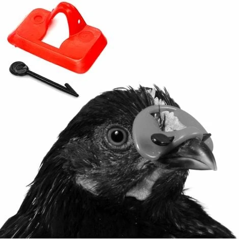 20x Lunette Anti-picage Volaille Avec Aiguille De Fixation Coqs Faisans Oiseaux Adultes 2 20x Lunette Anti-picage Volaille Avec Aiguille De Fixation Coqs Faisans Oiseaux Adultes – Image 2