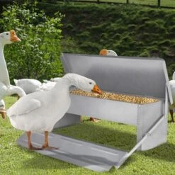Froadp 5KG Mangeoire Automatique Avec Pieds Anti Rats Et Couvercle étanche, Distributeurs De Nourriture Volailles Avec Pédale, Distributeur D'aliments En Métal Mangeoires Pour Canards Poules 7 Froadp 5KG Mangeoire Automatique Avec Pieds Anti Rats Et Couvercle étanche, Distributeurs De Nourriture Volailles Avec Pédale, Distributeur D'aliments En Métal Mangeoires Pour Canards Poules -Trixie || Flamingo Soldes Magasin 67453152 3