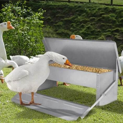 Froadp 5KG Mangeoire Automatique Avec Pieds Anti Rats Et Couvercle étanche, Distributeurs De Nourriture Volailles Avec Pédale, Distributeur D'aliments En Métal Mangeoires Pour Canards Poules 3 Froadp 5KG Mangeoire Automatique Avec Pieds Anti Rats Et Couvercle étanche, Distributeurs De Nourriture Volailles Avec Pédale, Distributeur D'aliments En Métal Mangeoires Pour Canards Poules – Image 3