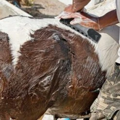 Brosse De Toilettage Pour Chevaux Brosse De Massage 6-en-1 En Crin De Cheval Massage De Toilettage Pour Chevaux,Pour Enlever Les Poils Secs Et Laches Des Chevaux Et Grands Chiens -Trixie || Flamingo Soldes Magasin 68336340 4