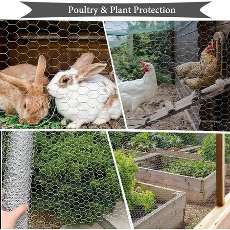 Grillage à Poules Hexagonal Galvanisé - 7 M X 04 M - Pour Travaux Manuels Ou Décoration D'intérieur - Avec Pince Coupante Et Gants Cisea 4 Grillage à Poules Hexagonal Galvanisé - 7 M X 04 M - Pour Travaux Manuels Ou Décoration D'intérieur - Avec Pince Coupante Et Gants Cisea – Image 4