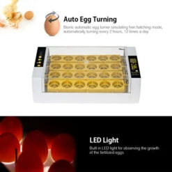 Incubateur D'oeufs Numérique 24 Oeufs Contrôle Automatique De La Température Fonction D'alarme De Rotation Automatique Des Oeufs Couveuse Automatique De Volaille Pour Poulets Canards Cailles Oiseaux -Trixie || Flamingo Soldes Magasin 69422416 3