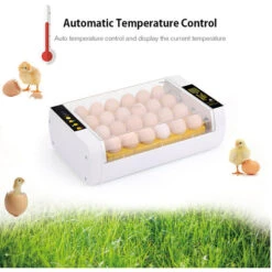 Incubateur D'oeufs Numérique 24 Oeufs Contrôle Automatique De La Température Fonction D'alarme De Rotation Automatique Des Oeufs Couveuse Automatique De Volaille Pour Poulets Canards Cailles Oiseaux -Trixie || Flamingo Soldes Magasin 69422416 4