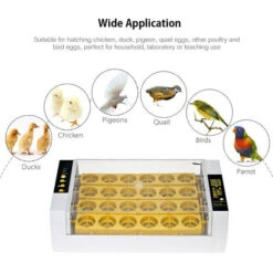 Incubateur D'oeufs Numérique 24 Oeufs Contrôle Automatique De La Température Fonction D'alarme De Rotation Automatique Des Oeufs Couveuse Automatique De Volaille Pour Poulets Canards Cailles Oiseaux -Trixie || Flamingo Soldes Magasin 69422416 5