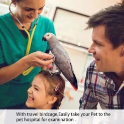 GDRHVFD Porte-oiseaux, Porte-cage De Voyage Pour Petits Oiseaux, Portable Et Respirant Et Pliable De Manière Transparente Pour Animaux De Compagnie (petit 14" X 8" X 8")Porte-oiseaux Léger, Cage De V 6 GDRHVFD Porte-oiseaux, Porte-cage De Voyage Pour Petits Oiseaux, Portable Et Respirant Et Pliable De Manière Transparente Pour Animaux De Compagnie (petit 14" X 8" X 8")Porte-oiseaux Léger, Cage De V -Trixie || Flamingo Soldes Magasin 69610646 3