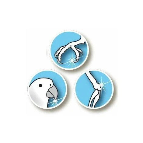 Flamingo Knibbles - Grit De Moules 4 Flamingo Knibbles - Grit De Moules – Image 4