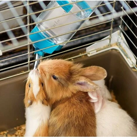GP 4 Biberon Lapin Biberon Cochon D'Inde Biberon Lapin Nain Pour Cage Biberon Rongeur Abreuvoir Lapin Distributeur Eau Lapin Biberon Hamster Pour Hamsters Rats Guinées Furets Lapins Petits Animaux 80ML 4 GP 4 Biberon Lapin Biberon Cochon D'Inde Biberon Lapin Nain Pour Cage Biberon Rongeur Abreuvoir Lapin Distributeur Eau Lapin Biberon Hamster Pour Hamsters Rats Guinées Furets Lapins Petits Animaux 80ML – Image 4