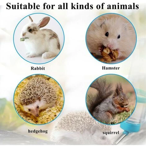 GP 4 Biberon Lapin Biberon Cochon D'Inde Biberon Lapin Nain Pour Cage Biberon Rongeur Abreuvoir Lapin Distributeur Eau Lapin Biberon Hamster Pour Hamsters Rats Guinées Furets Lapins Petits Animaux 80ML 5 GP 4 Biberon Lapin Biberon Cochon D'Inde Biberon Lapin Nain Pour Cage Biberon Rongeur Abreuvoir Lapin Distributeur Eau Lapin Biberon Hamster Pour Hamsters Rats Guinées Furets Lapins Petits Animaux 80ML – Image 5