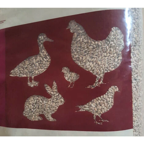 Blé 20 Kg Alimentation Basse Cour - Gasco 4 Blé 20 Kg Alimentation Basse Cour - Gasco – Image 4