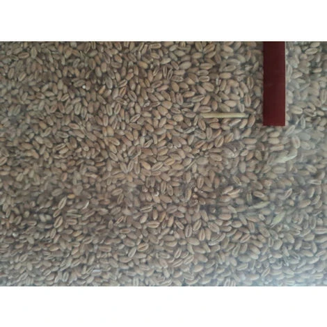 Blé 20 Kg Alimentation Basse Cour - Gasco 5 Blé 20 Kg Alimentation Basse Cour - Gasco – Image 5