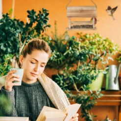 Relaxdays Mangeoire D'extérieur Pour Oiseaux, Look Flambé, Certifiée FSC, Résistant Aux Intempéries, 24x31x20 Cm, Nature -Trixie || Flamingo Soldes Magasin 71178806 3