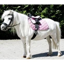 Taille Unique Pour Tous Les 12, Vert 5800: Ensemble De Selle Shetland Synthétique Complet Avec étriers De Sangle Et Sous-selle