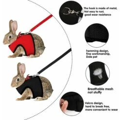 Harnais Lapin Réglable, 2 Pcs Harnais De Lapin Avec Laisse De Remorquage élastique Harnais Doux Réglable Pour Petits Animaux Harnais De Jogging Marche Course Pour Animaux De Compagnie Lapin -Trixie || Flamingo Soldes Magasin 71436089 3