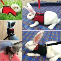 Harnais Lapin Réglable, 2 Pcs Harnais De Lapin Avec Laisse De Remorquage élastique Harnais Doux Réglable Pour Petits Animaux Harnais De Jogging Marche Course Pour Animaux De Compagnie Lapin -Trixie || Flamingo Soldes Magasin 71436089 4