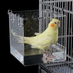 Bain D'oiseaux Ă Suspendre, Bain D'oiseaux En Acrylique Transparent Pour Bain D'oiseaux, Accessoires De Cage Ă Oiseaux Avec Crochets Pour Petits Oiseaux Finch Perruche Canari 12,7 X 11,4 X 12,7 Cm.