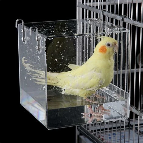 Bain D'oiseaux à Suspendre, Bain D'oiseaux En Acrylique Transparent Pour Bain D'oiseaux, Accessoires De Cage à Oiseaux Avec Crochets Pour Petits Oiseaux Finch Perruche Canari 12,7 X 11,4 X 12,7 Cm. 1 Bain D'oiseaux à Suspendre, Bain D'oiseaux En Acrylique Transparent Pour Bain D'oiseaux, Accessoires De Cage à Oiseaux Avec Crochets Pour Petits Oiseaux Finch Perruche Canari 12,7 X 11,4 X 12,7 Cm.