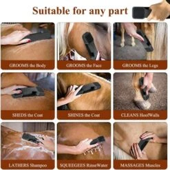 Brosse De Toilettage Pour Chevaux , Chevaux, Brosse De Cheval Massage 6 En 1 Lot De 2 Brosse Pour Chevaux Pour Massage Et Traitement -Trixie || Flamingo Soldes Magasin 76663139 4