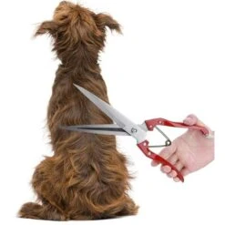 Ciseaux De Chèvre, Cisaille De Mouton, Acier Inoxydable Laine Cisaille Multifonction Manuel Ciseaux à Laine Ciseaux à Ressort Pour Couper Les Poils Des Moutons Lapins Chevaux -Trixie || Flamingo Soldes Magasin 76663551 3