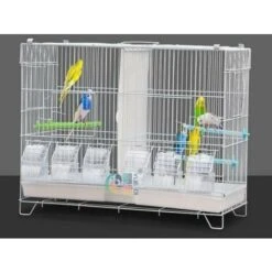 Cage Oiseau Cage D'elevage Avec Système De Porte Guillotine Cage 602639.5cm Pour Perruches Pinsons Cockatiels Conures Inséparables Canaris Perroquets