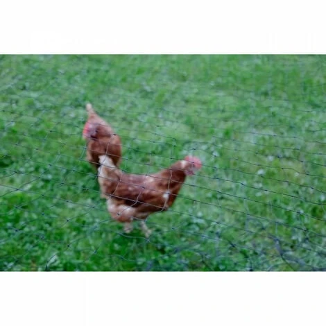 Filet De Protection KERBL - Maille 60 Mm - 10 X 5 M - Noir - Pour Volaille 3 Filet De Protection KERBL - Maille 60 Mm - 10 X 5 M - Noir - Pour Volaille – Image 3