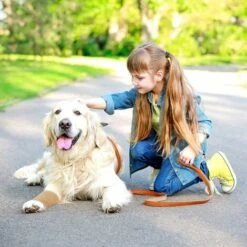 GP Pansement Auto-adhésif 10 Cm X 4,5 M, 12 Rouleaux De Pansement Adhésif Vétérinaire Pour Les Premiers Soins, Le Sport, Les Chevaux, Les Chiens (beige) 9 GP Pansement Auto-adhésif 10 Cm X 4,5 M, 12 Rouleaux De Pansement Adhésif Vétérinaire Pour Les Premiers Soins, Le Sport, Les Chevaux, Les Chiens (beige) -Trixie || Flamingo Soldes Magasin 78394360 5