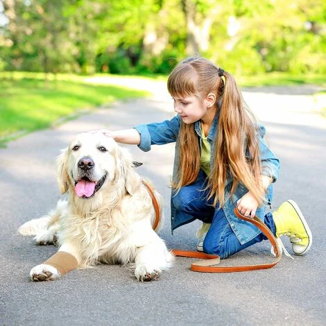 GP Pansement Auto-adhésif 10 Cm X 4,5 M, 12 Rouleaux De Pansement Adhésif Vétérinaire Pour Les Premiers Soins, Le Sport, Les Chevaux, Les Chiens (beige) 5 GP Pansement Auto-adhésif 10 Cm X 4,5 M, 12 Rouleaux De Pansement Adhésif Vétérinaire Pour Les Premiers Soins, Le Sport, Les Chevaux, Les Chiens (beige) – Image 5
