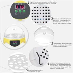 Mini Incubateur D'Oeufs En 15.5x 15.5 X15cm FUIENKO 5 Mini Incubateur D'Oeufs En 15.5x 15.5 X15cm FUIENKO -Trixie || Flamingo Soldes Magasin 78767237 3