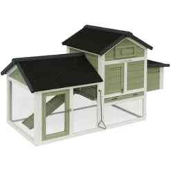 Poulailler En Bois Blanc Et Vert GALINETTE. 3 Poules. Cage à Poule Avec Enclos