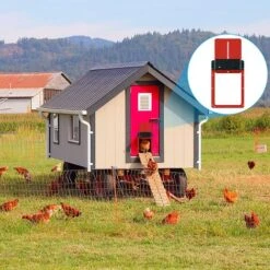 Porte De Poulailler Automatique, Ouvre-porte De Poulailler Avec Capteur De Lumière, Porte De Poulet Rechargeable, à Piles, élevage De Poulets En Toute Sécurité, Rouge 35 X 24 X 3,7 Cm 8 Porte De Poulailler Automatique, Ouvre-porte De Poulailler Avec Capteur De Lumière, Porte De Poulet Rechargeable, à Piles, élevage De Poulets En Toute Sécurité, Rouge 35 X 24 X 3,7 Cm -Trixie || Flamingo Soldes Magasin 81272057 4